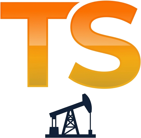 Top Service logo
